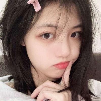 狗的审判